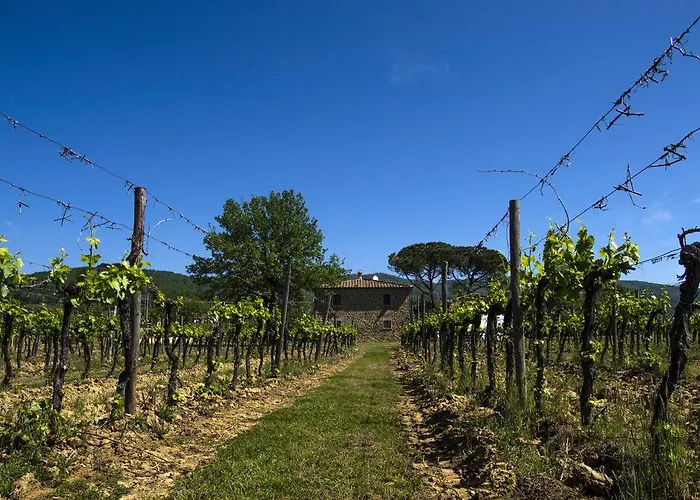 Agriturismo la Concezione