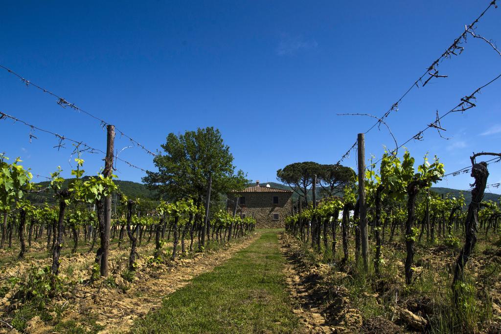 Alloggio per agriturismo La Concezione Castiglion Fibocchi